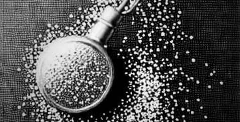 The $88B Wound: When Altcoins Became the Tech Stock Mirror The $88B Wound: When Altcoins Became the Tech Stock Mirror