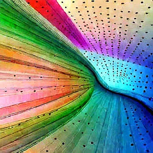 The $185M Bet on a Crypto Bank Charter: Institutional Darwinism or Regulatory Mirage? The $185M Bet on a Crypto Bank Charter: Institutional Darwinism or Regulatory Mirage?