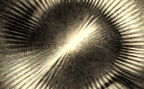 HIVE's 36-52% Margin Is a Mirage: The Real Signal Is Energy Arbitrage, Not Mining Efficiency