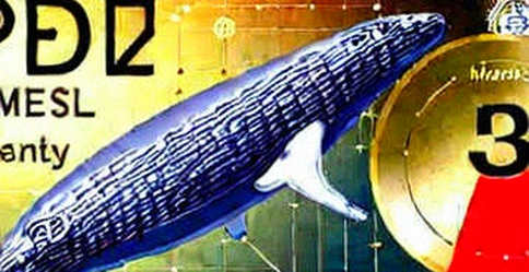 The Divergence Signal: Bitcoin Whales Accumulate to 5-Month High as Retail Bleeds Out The Divergence Signal: Bitcoin Whales Accumulate to 5-Month High as Retail Bleeds Out
